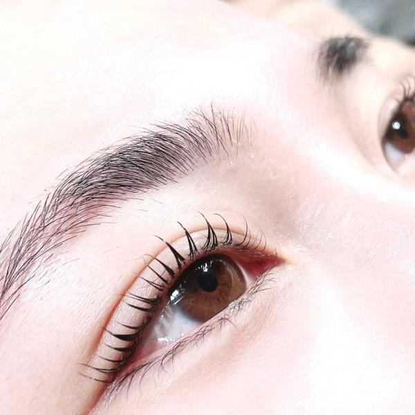 1月24日（土）まつ毛パーマ《パリジェンヌラッシュリフト》&《美眉ハリウッドブロウリフト》【HBL】のモデルを募集10時、13時、15時、18時、20時、開始の5枠