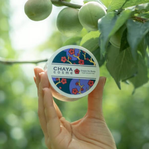 金沢の梅が肌に寄り添う。「CHAYA cosme」ボディクリームが梅果実エキス配合でリニューアル!
