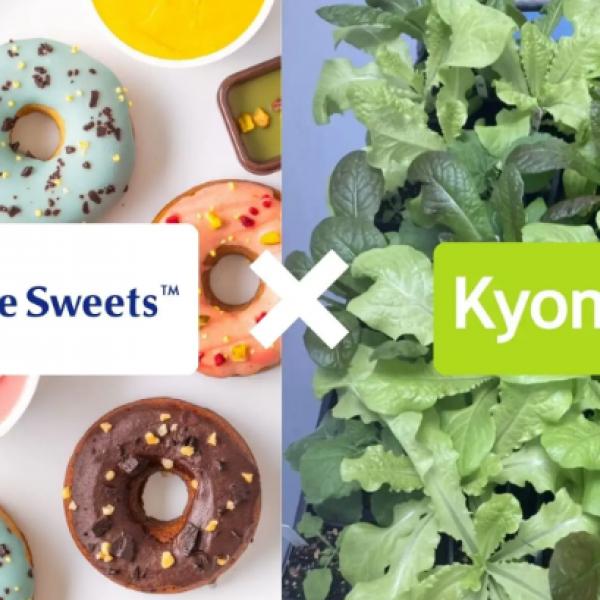 植物由来でも美味しく、健康的に♡日本×英国の技術が生む次世代プラントベースフードが誕生へ♪