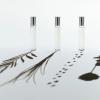 【自分のための香り】100%天然エッセンシャルオイル「skin-on fragrance（スキンオンフレグランス）」2025年5月16日新発売✨肌にまとうために生まれた特別な香り！
