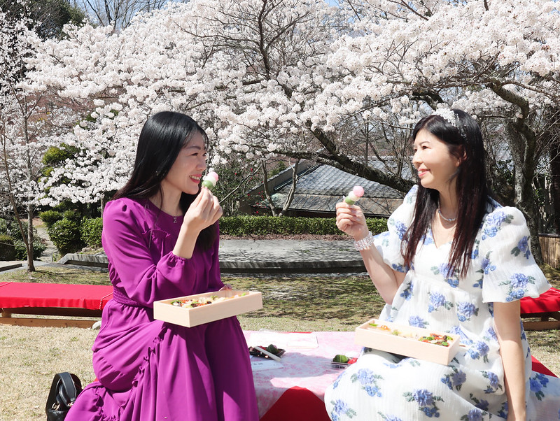 【神戸/有馬】プレミアムな有馬温泉でお花見♡カップルや女子会におすすめ！有馬温泉・元湯「古泉閣」