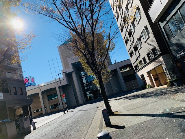 【横浜】横浜市歴史博物館で見つける古の知恵♪
