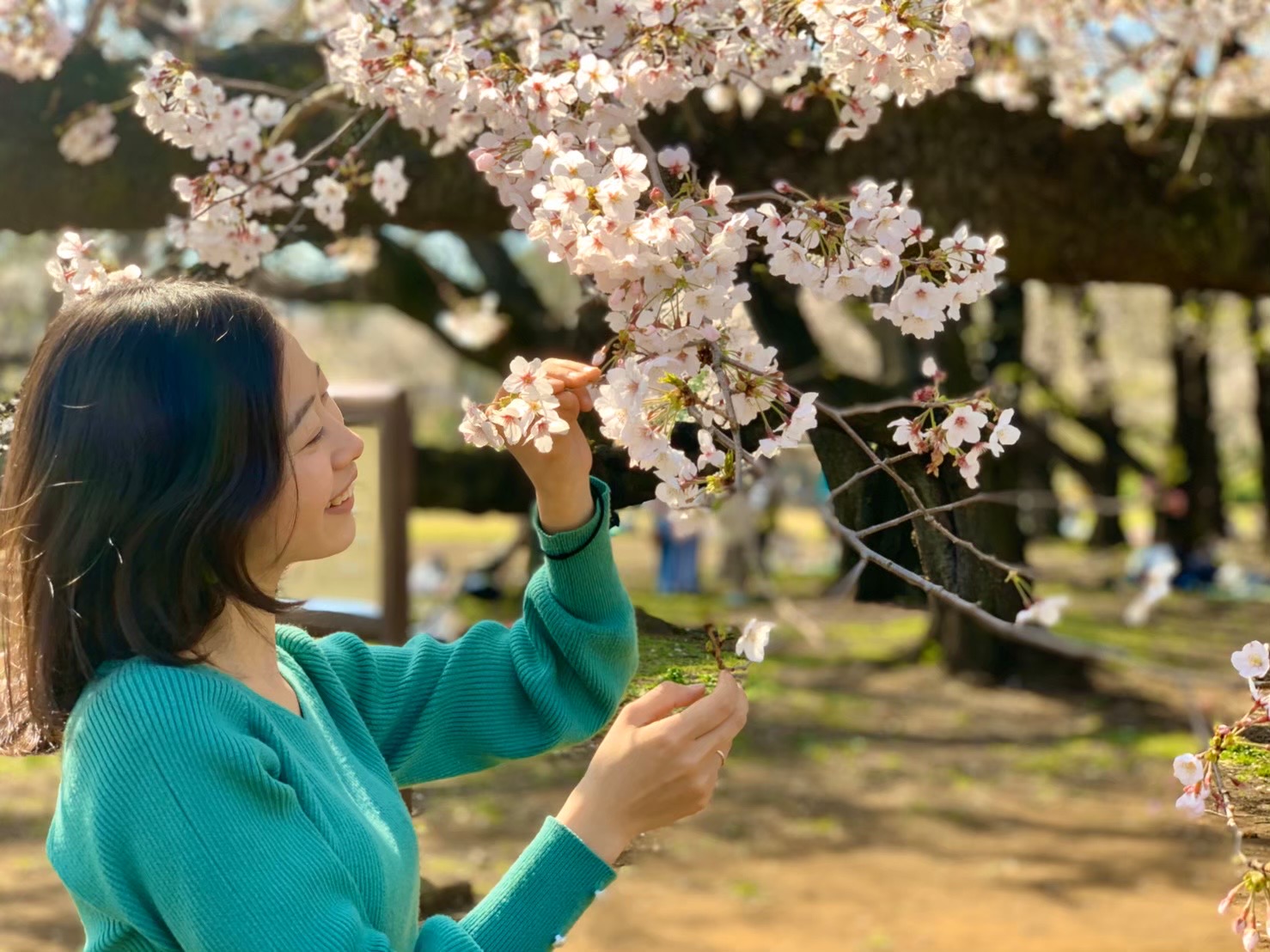 春は砧公園へ！公園内で1日楽しめる魅力とは♬