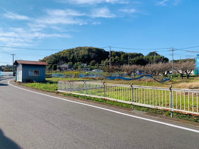 【横浜】ふるさと村を見つめて♪