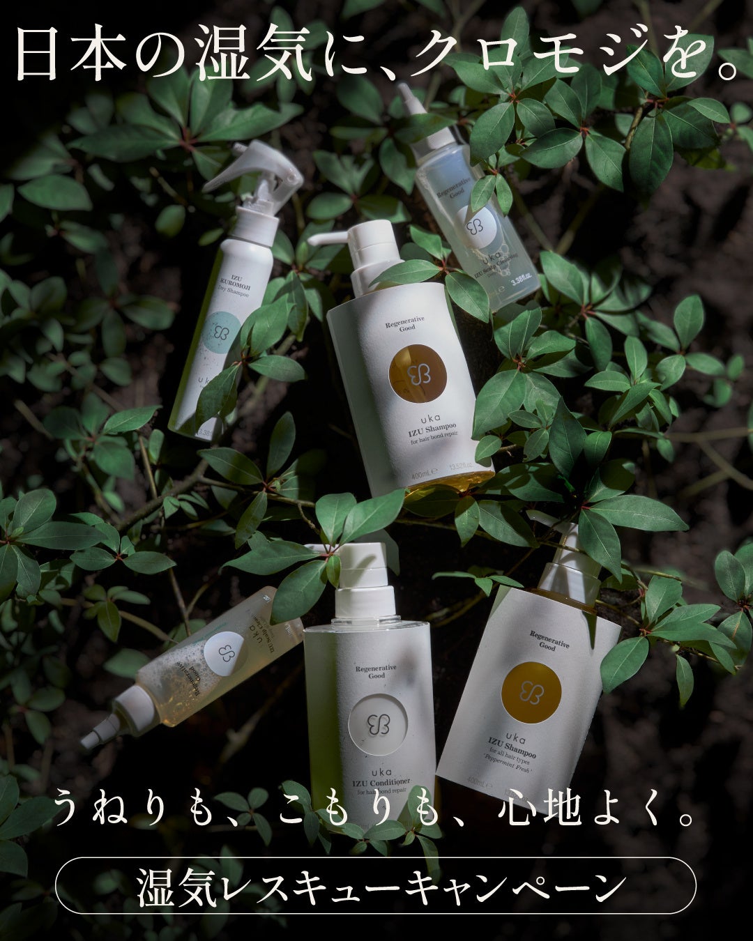 うねりもべたつきも植物の力で。ukaの湿気レスキューキャンペーン2026