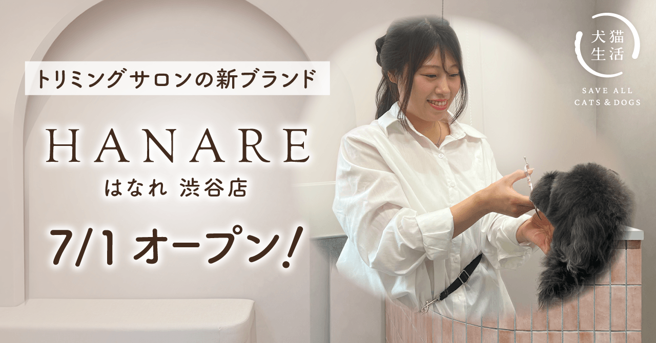 渋谷に「第二の自宅」が誕生。愛犬と飼い主に寄り添うトリミングサロン「HANARE」