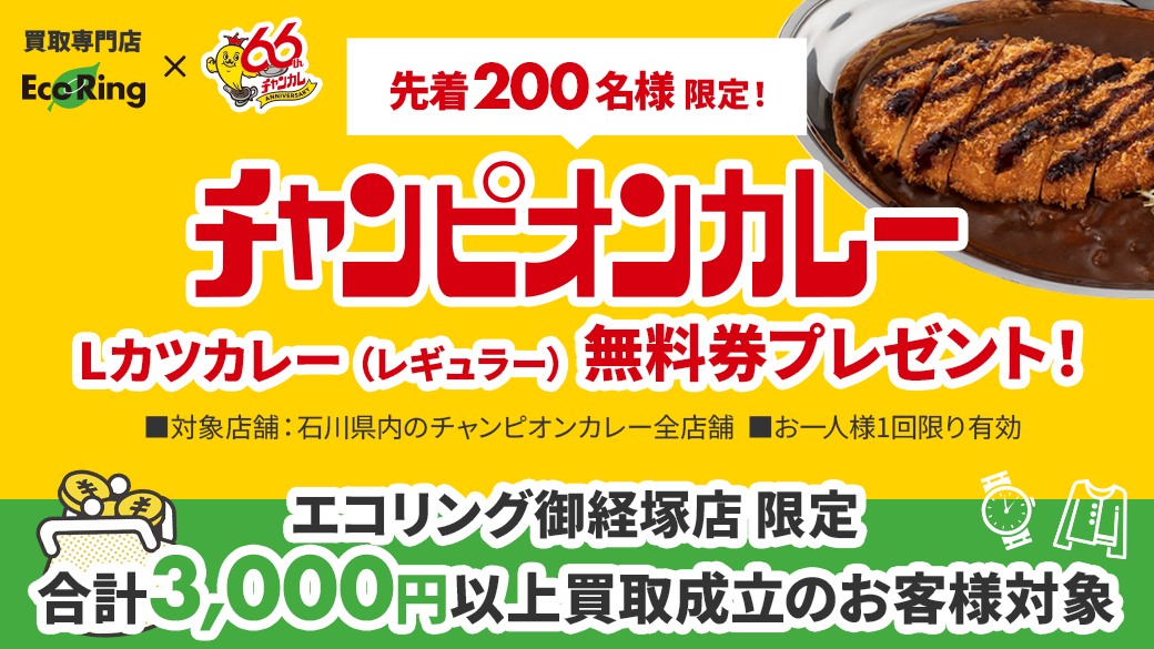 断捨離の帰りにLカツカレー1皿。石川県の夏限定コラボが嬉しい
