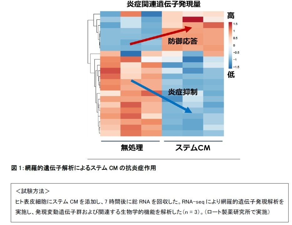 「熱老化」が新しいエイジングケアの鍵に。ロート製薬のステムCM研究が示す未来
