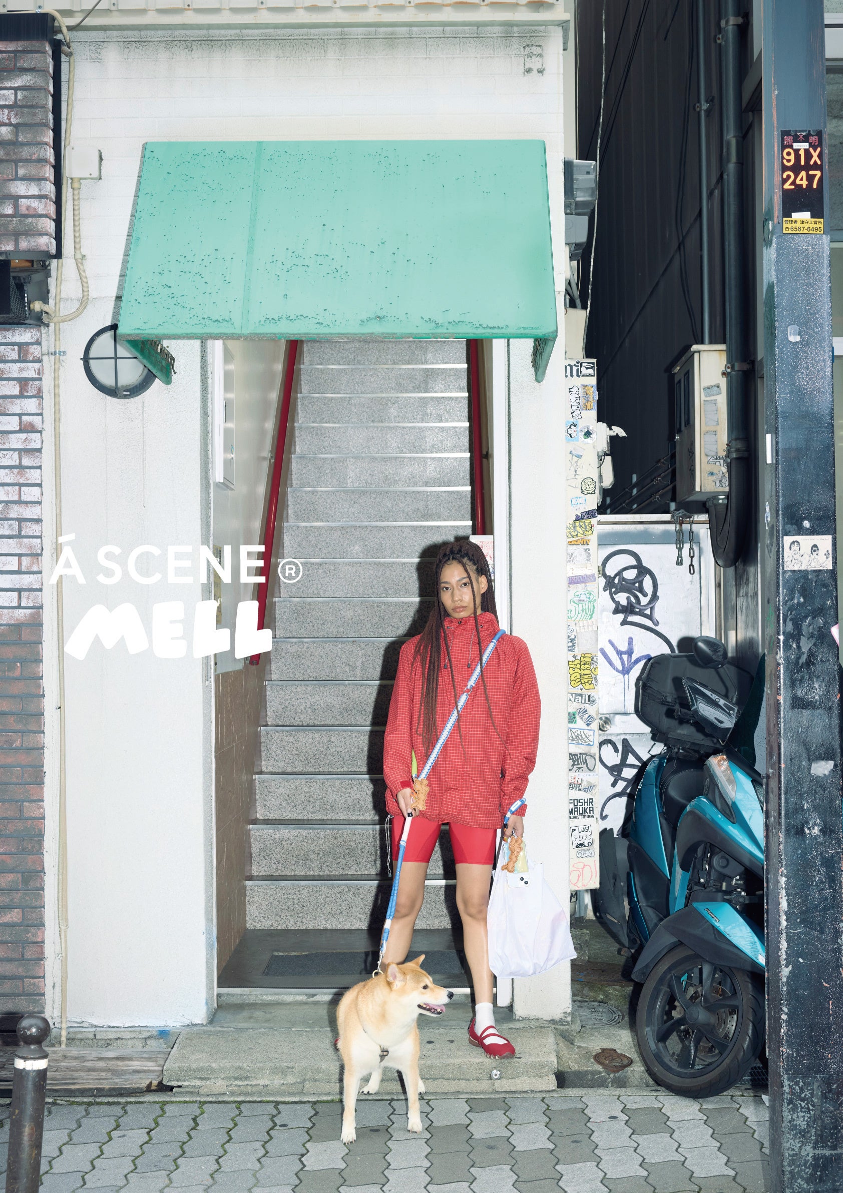 愛犬とのお散歩がもっと素敵に。MELL × A SCENEコラボが叶える、ストリート感溢れるペットライフ
