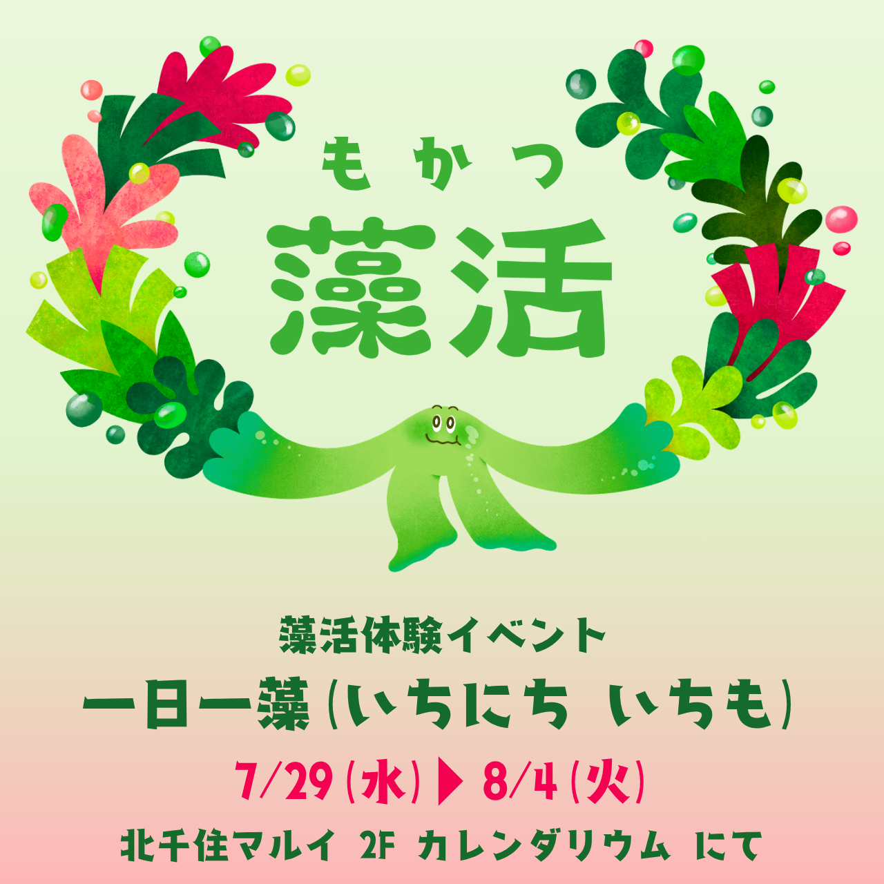 一日一藻を体験できる「藻活」ポップアップが北千住に
