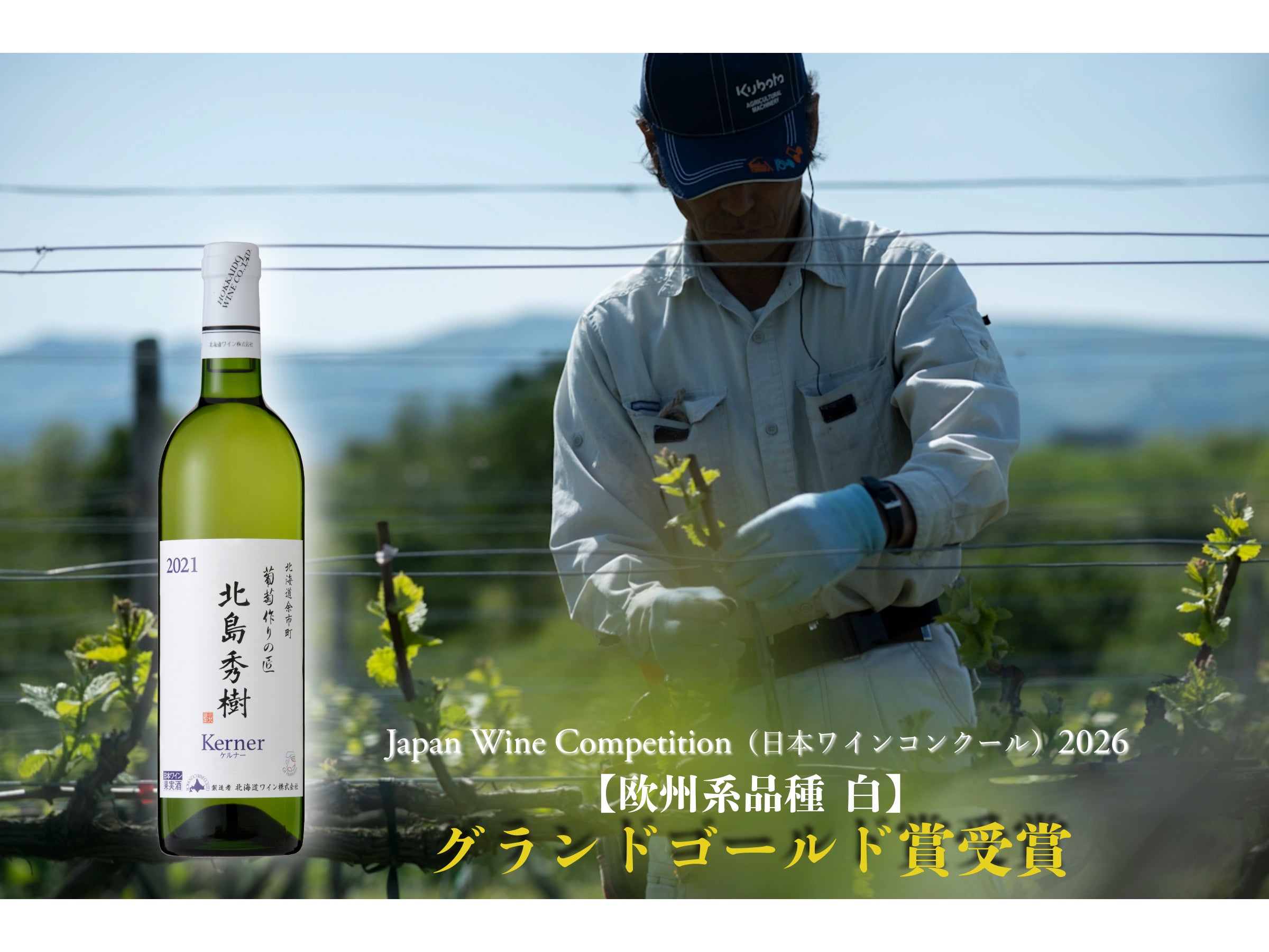 北海道余市のケルナーが日本最高位に。北海道ワインが日本ワインコンクール2026でグランドゴールド賞