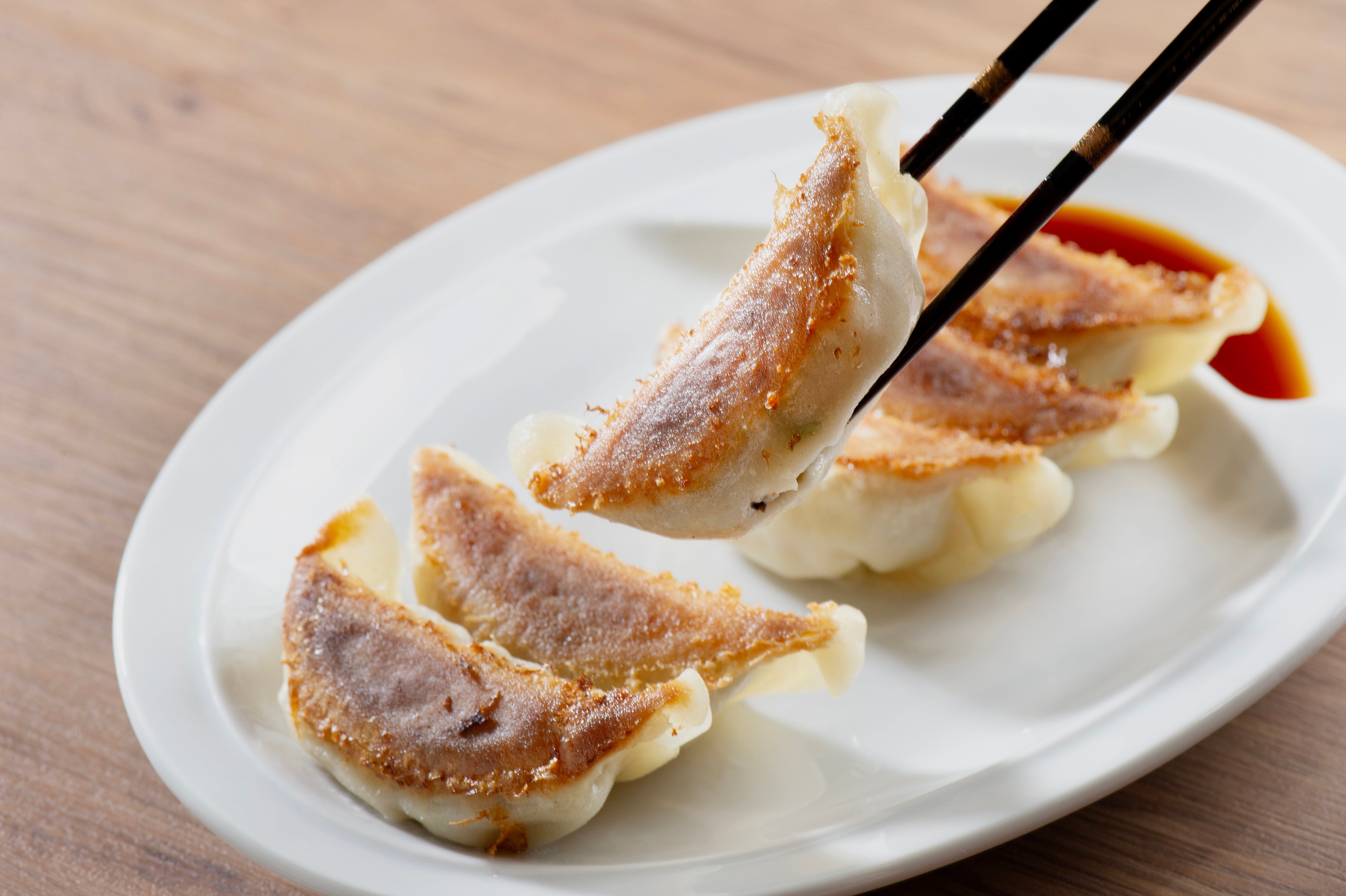 本当においしい餃子はここにある「JAPAN餃子大賞2026」