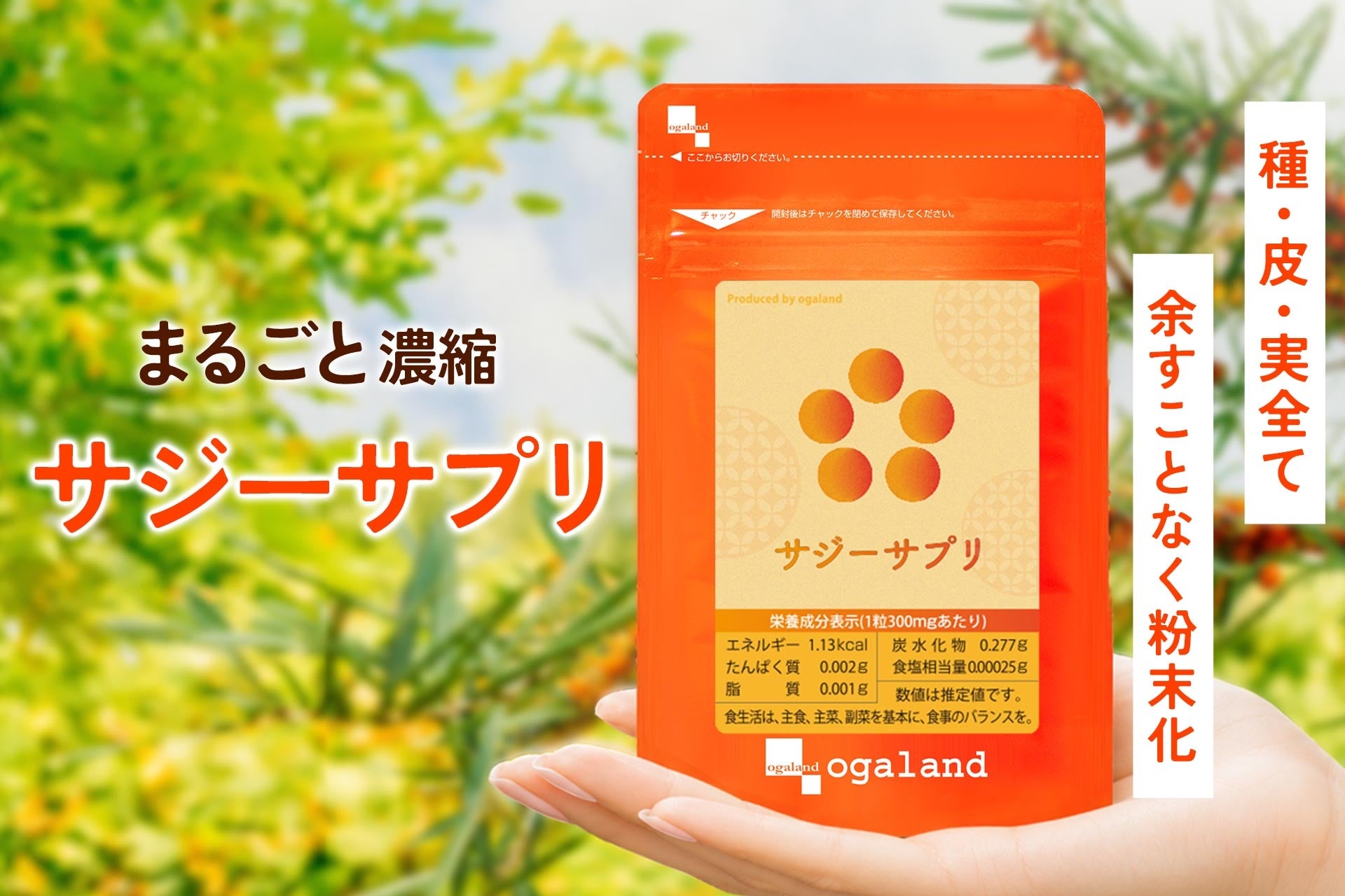 フルーツ界屈指のビタミンCをまるごと。サジーサプリがリニューアル
