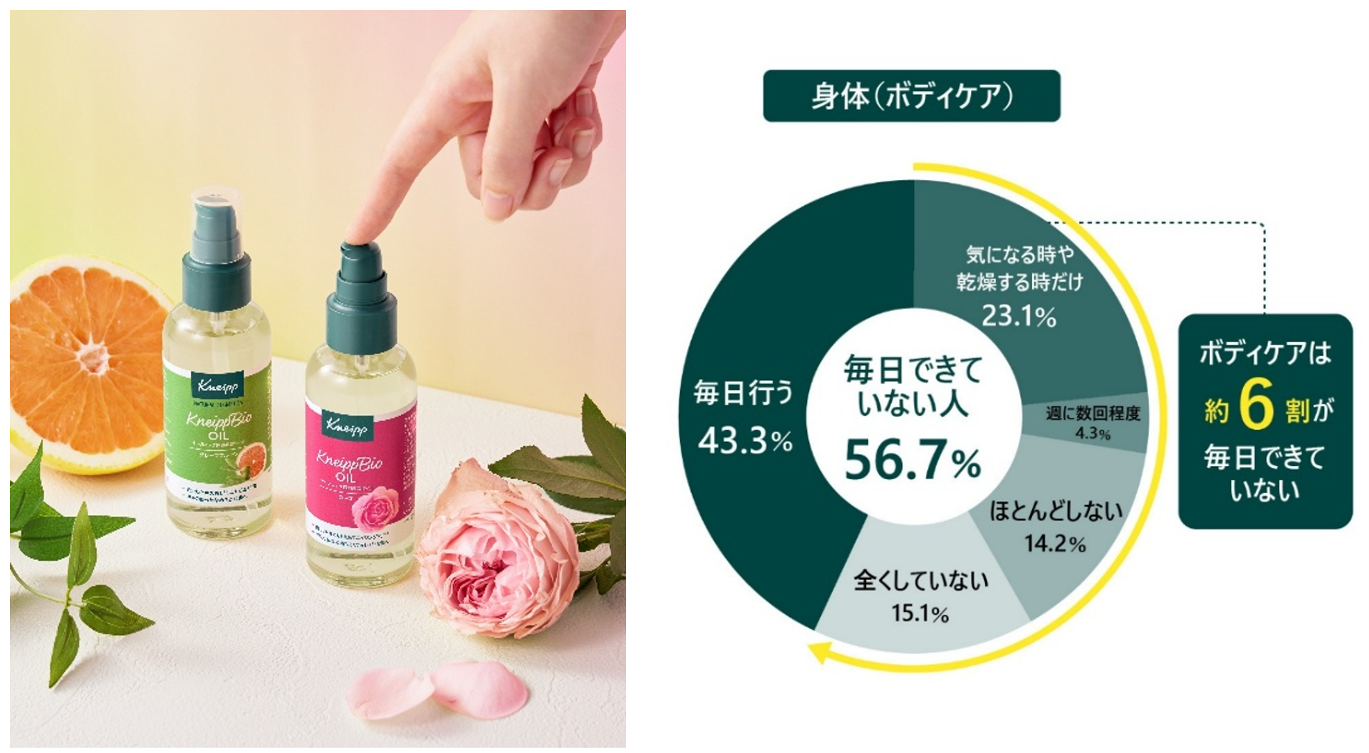 ベタつかないポンプ式で、ボディケアを毎日の習慣に。クナイプビオ オイルがリニューアル