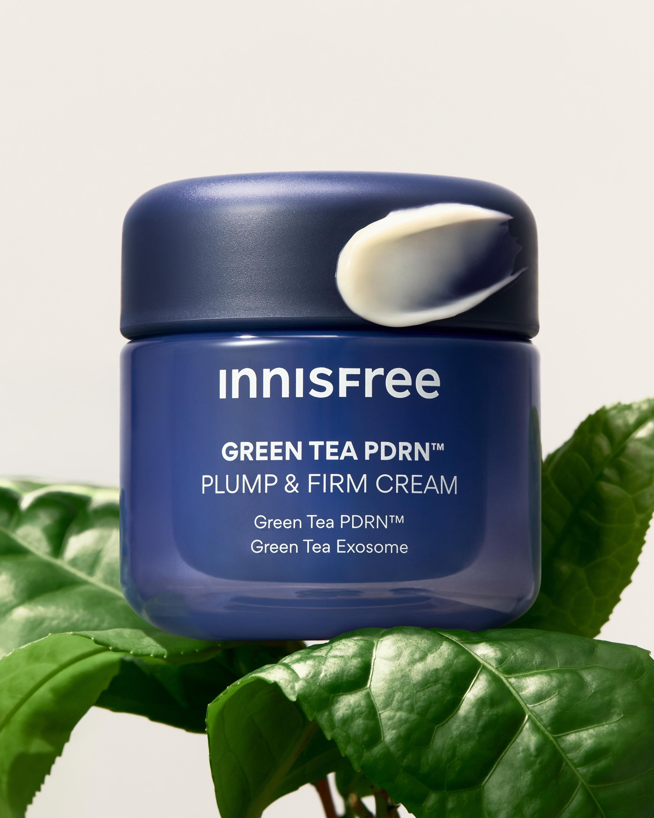 INNISFREE『グリーンティーPDRN アドバンスド クリーム』で毛穴もハリも