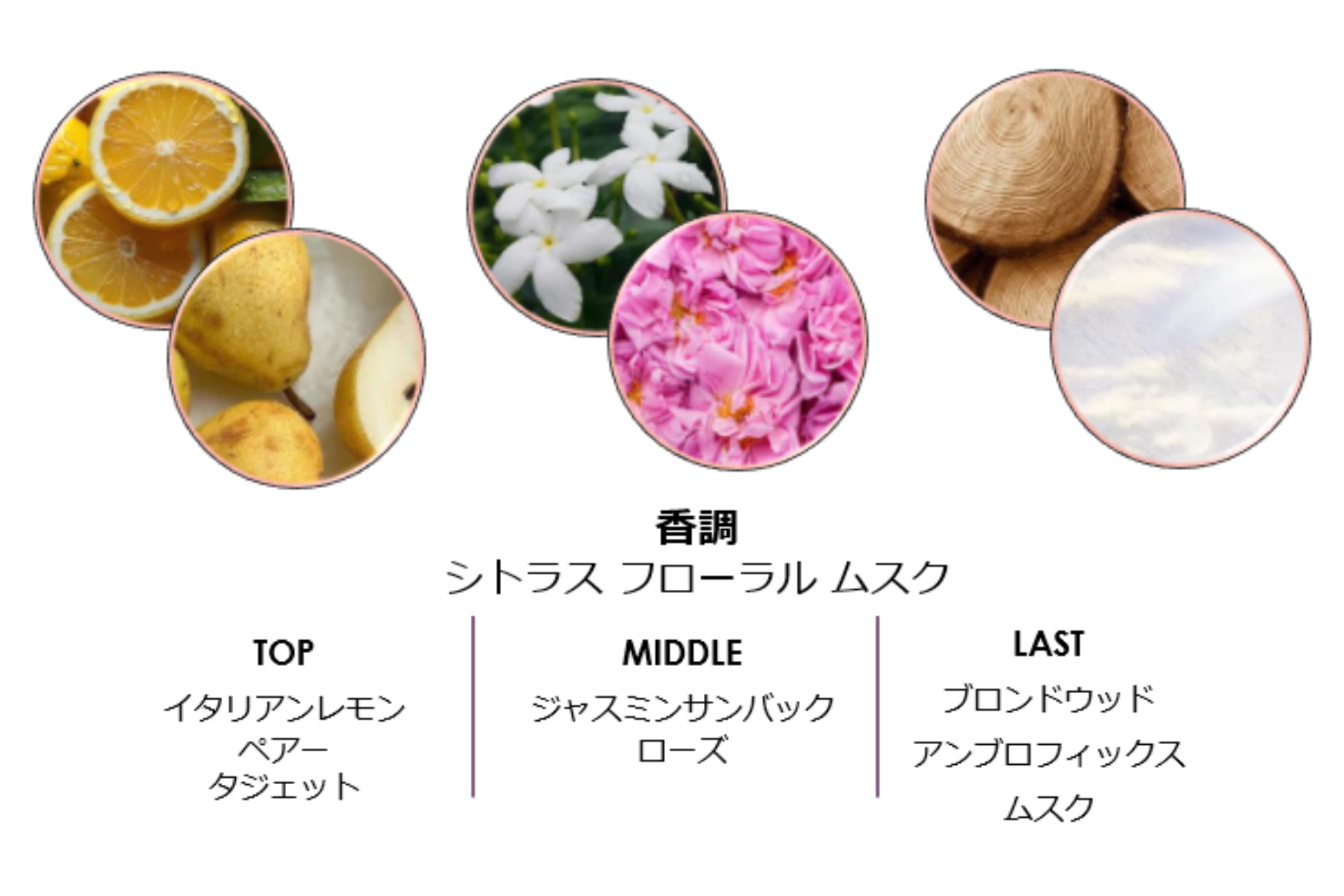 シトラス フローラル ムスク