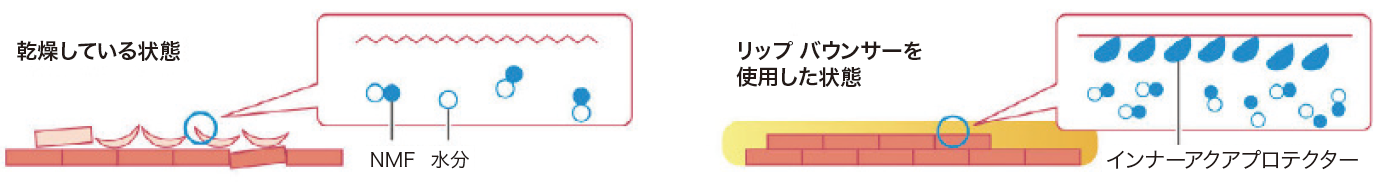 インナーアクアプロテクター