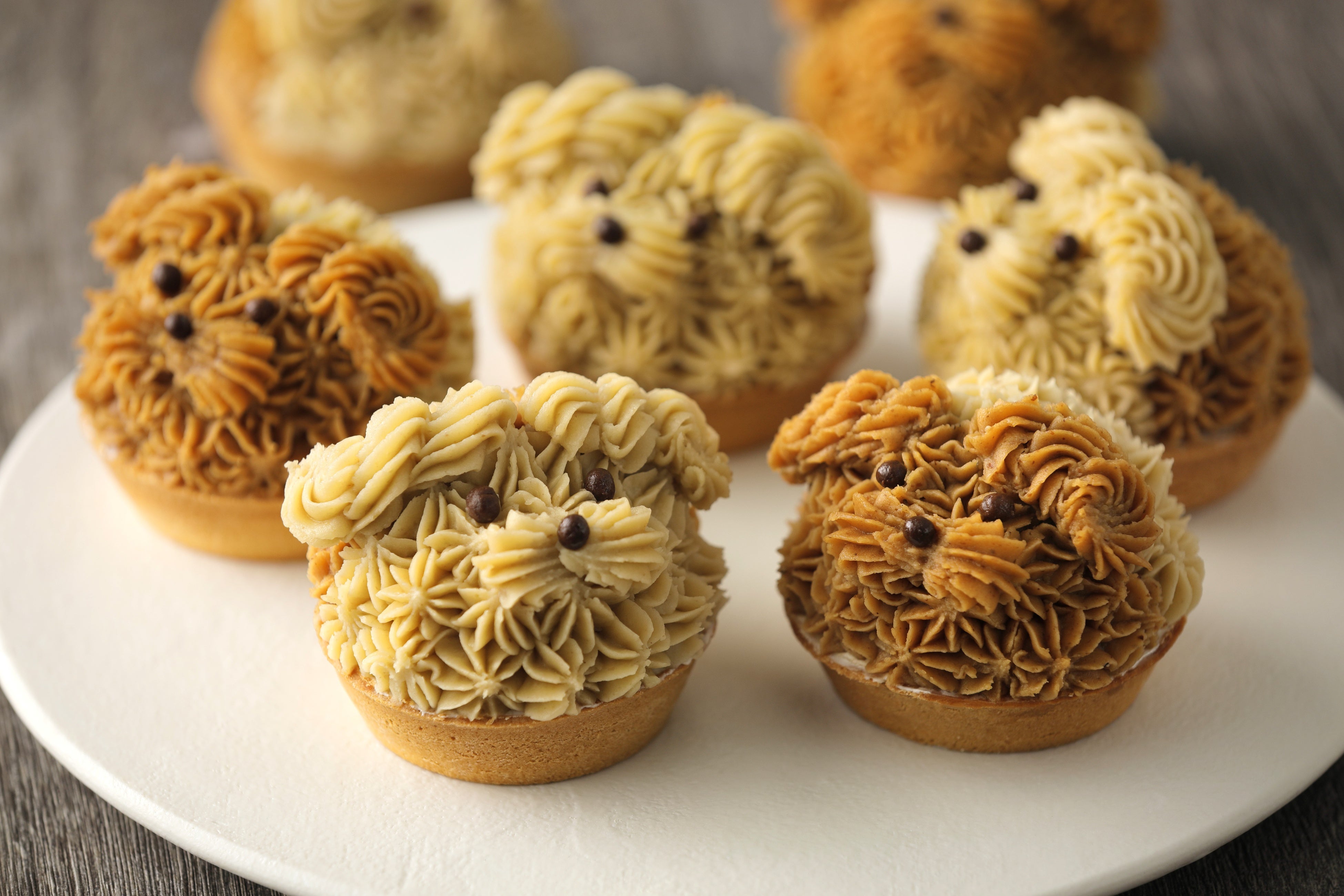春華堂の「遠州生まれのチーキーロンロン」、わんちゃん姿のモンブラン