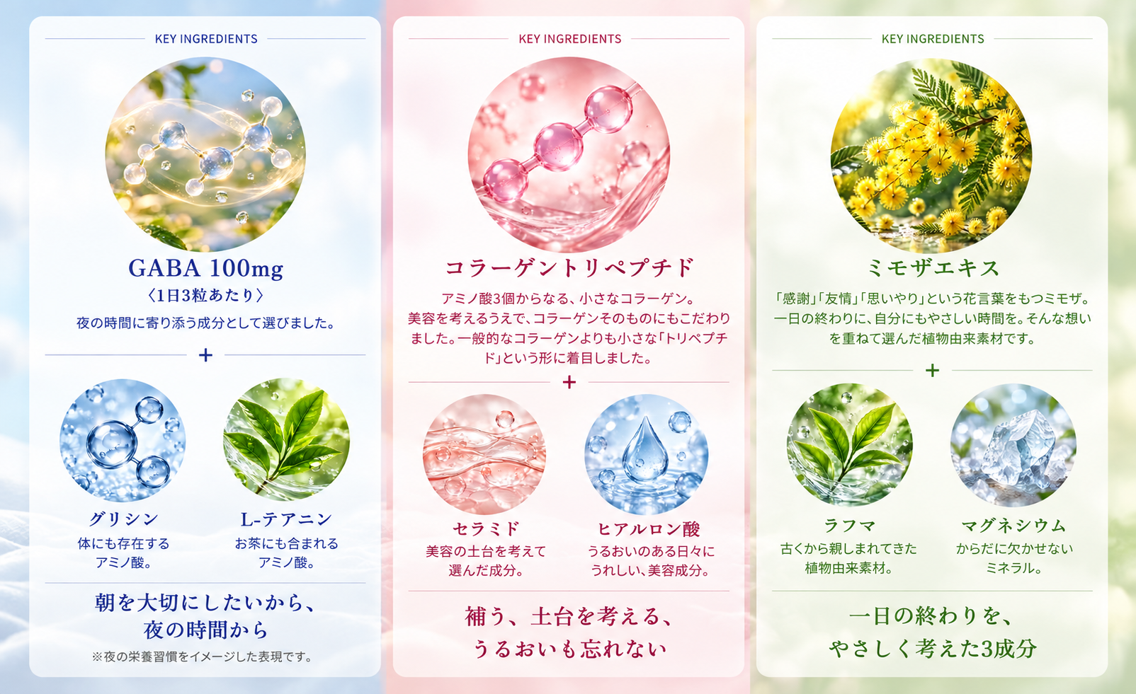 SLEEP・BEAUTY・RELAX