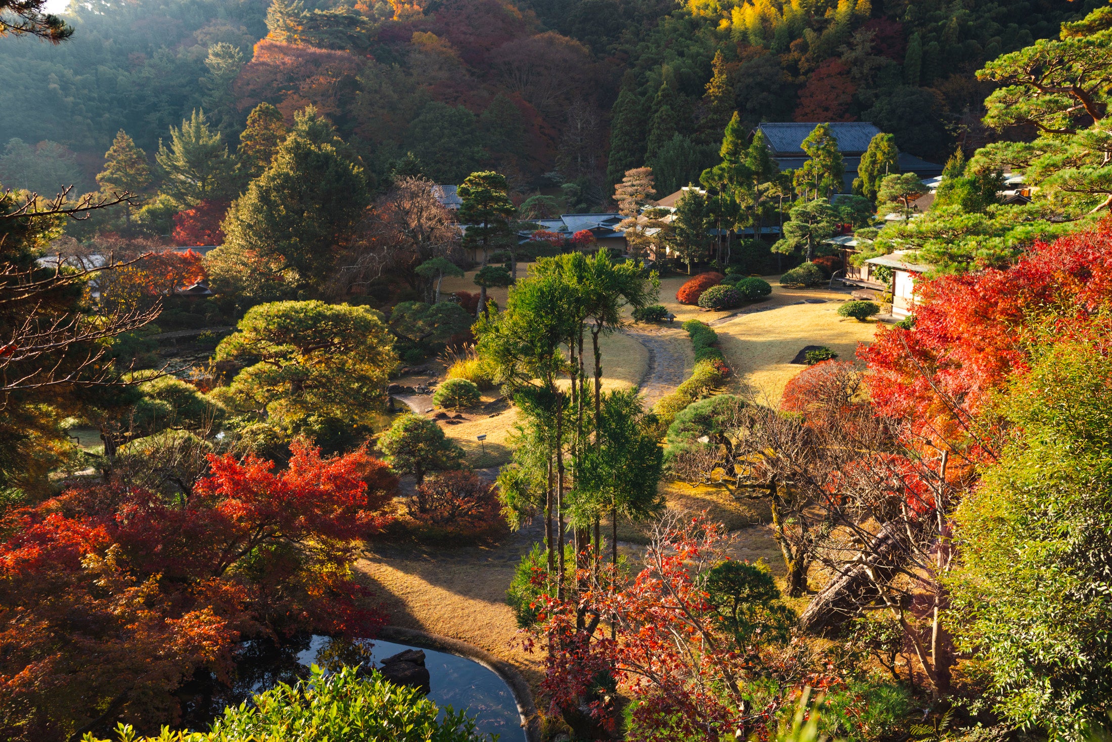 伊豆長岡温泉 三養荘「日本庭園カフェ」が期間延長、紅葉の庭を眺めて