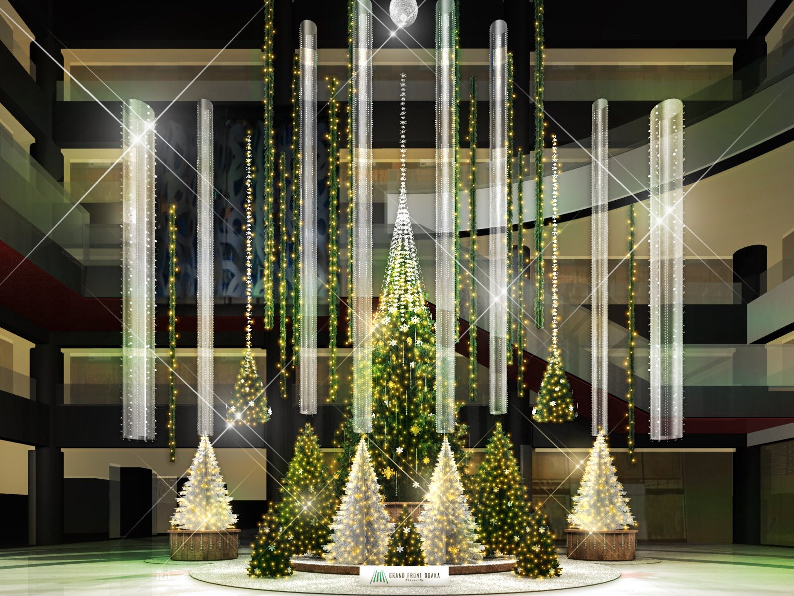 Evergreen Forest Tree