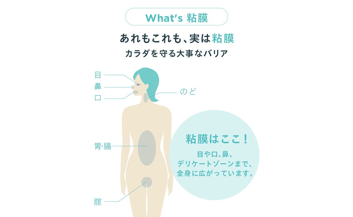 粘膜