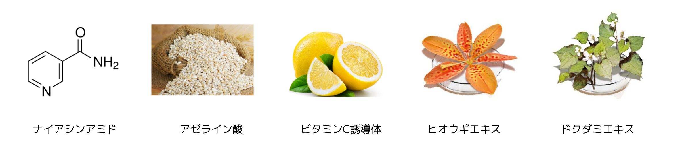 こだわり成分