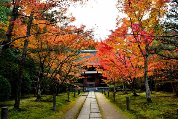 【京都】もうひとつの京都穴場絶景スポット10選