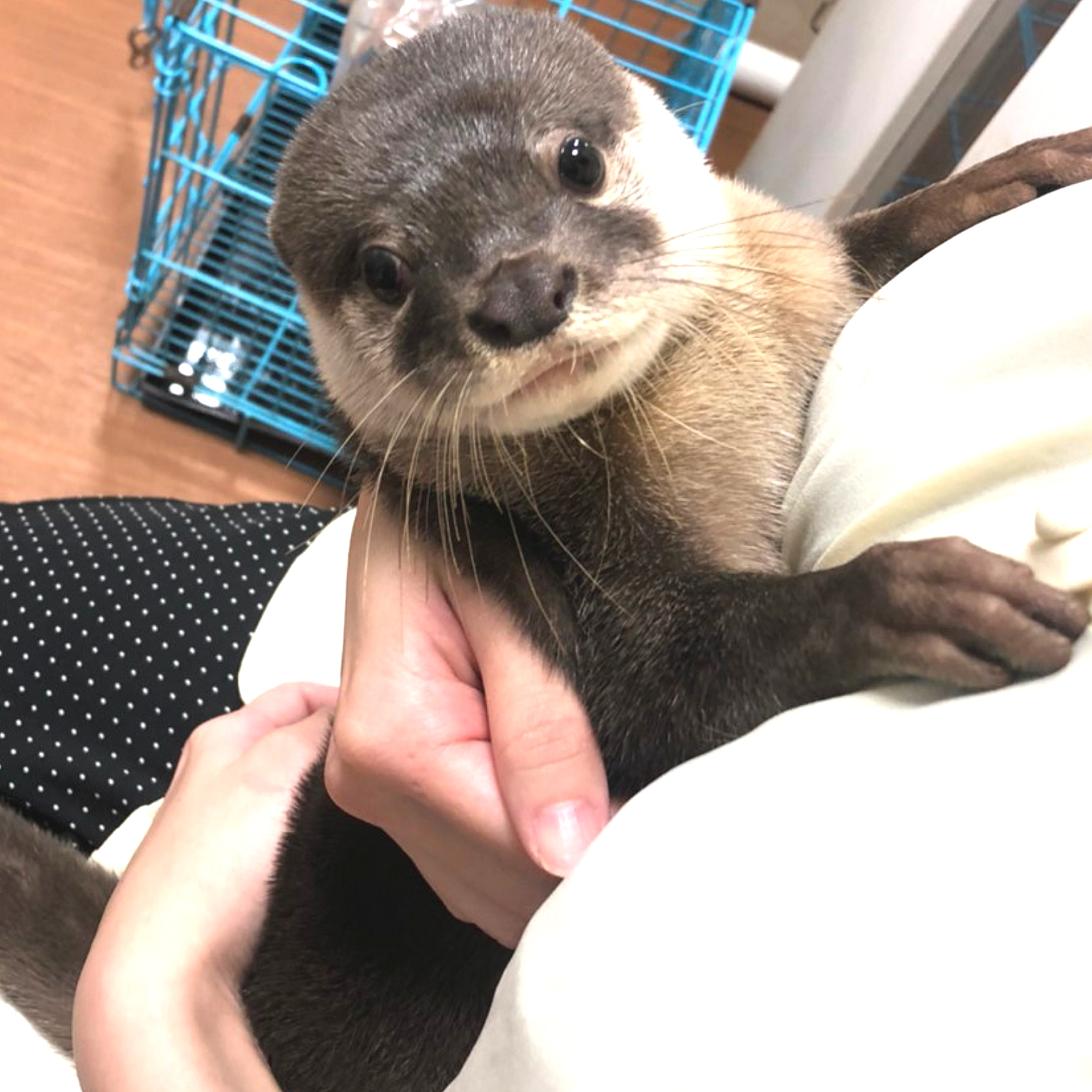 とても癒されました‼️