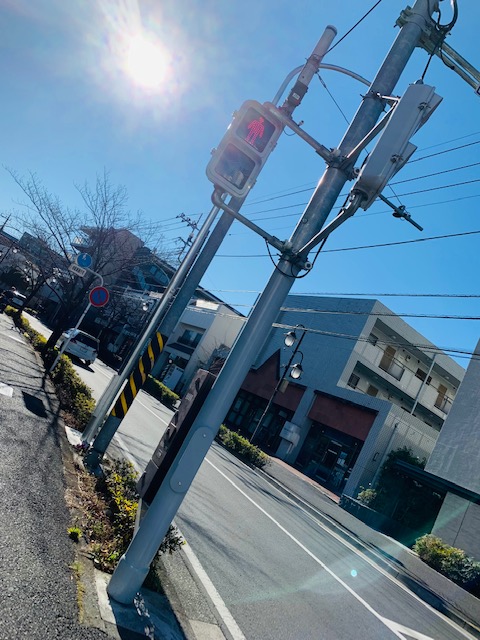 【横浜】愛される名店 [ メイプル洋菓子 ] in 青葉台